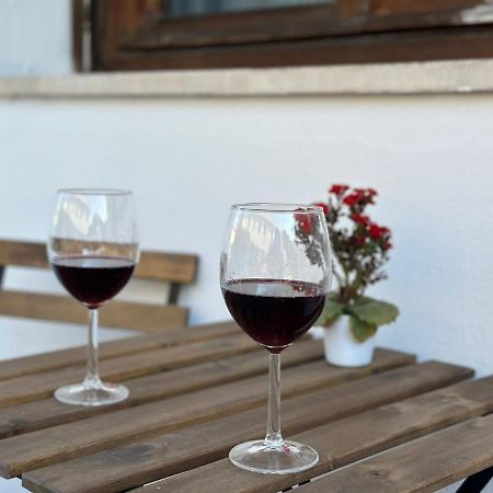 Appartamento Vn House Pisa Eksteriør billede
